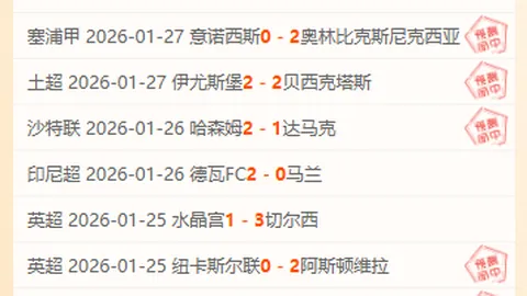 篮球赛事解析：森林狼对灰熊深度分析及专家推荐